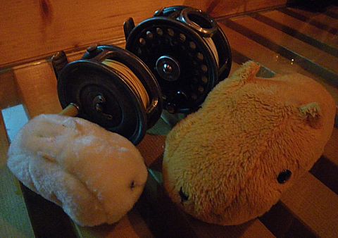 091101 Hardy&Capybara ~1.jpg