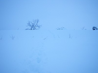 100101 Playing in Snow ~2.jpg