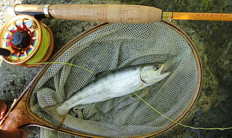 140601 Fishing.jpg