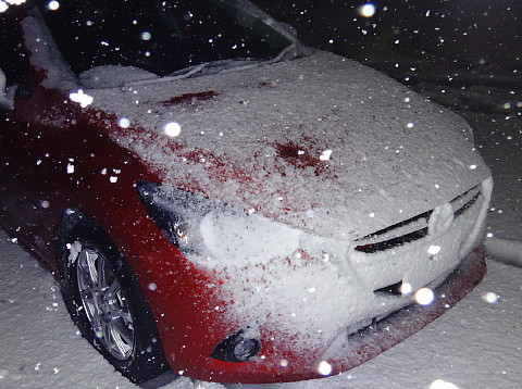 150311 DemioLED&Snow ~3.jpg