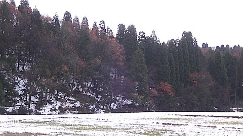 201223 Yamamoto~Winterscene.jpg