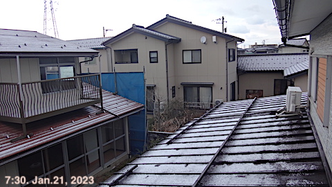SnowiedScene 230121-0700.JPG