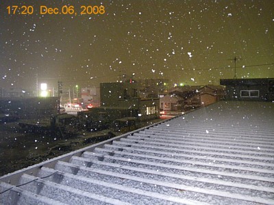 SnowingScene 081206-1720.jpg