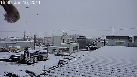 SnowingScene 110115-1630.jpg