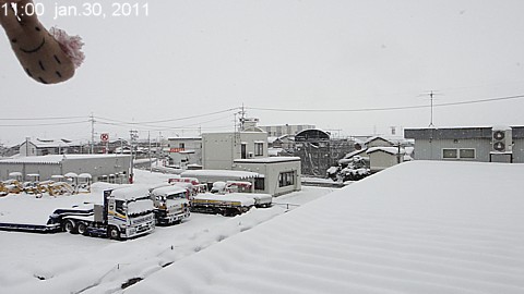 SnowingScene 110130-1100.jpg