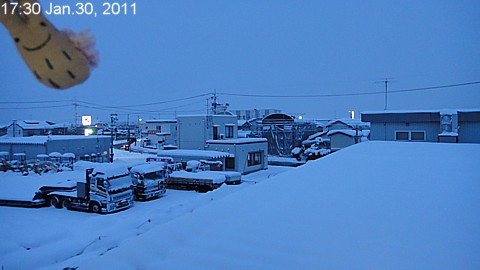SnowingScene 110130-1700.jpg