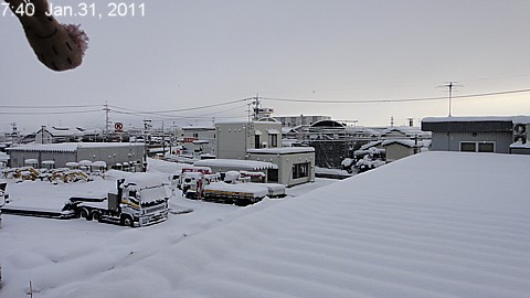 SnowingScene 110131-0740.jpg