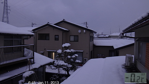 SnowingScene 130111-0645.jpg