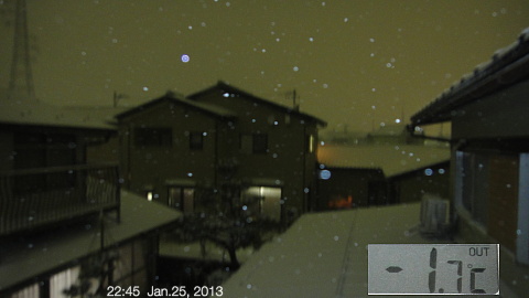 SnowingScene 130125-2245.jpg