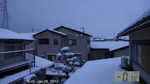 SnowingScene 130128-0645.jpg