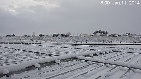 SnowingScene 140111-0800.jpg