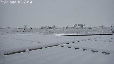 SnowingScene 140310-0720.jpg