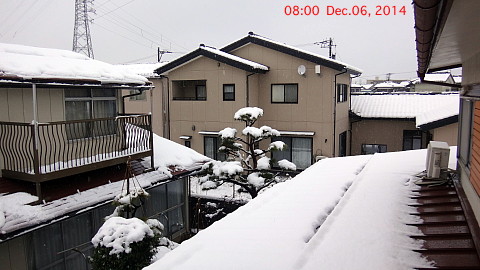 SnowingScene 141206-0800.jpg