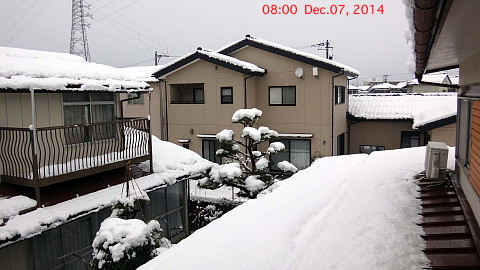 SnowingScene 141207-0800.jpg