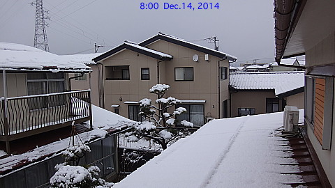 SnowingScene 141214-0800.jpg