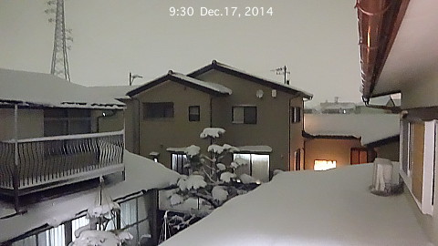 SnowingScene 141217-2130.jpg