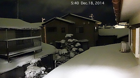 SnowingScene 141218-0540.jpg