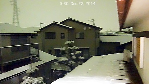 SnowingScene 141222-0530.jpg