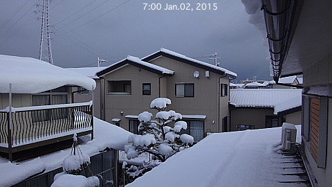 SnowingScene 150102-0700.jpg