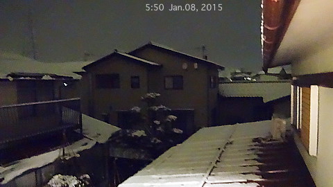 SnowingScene 150108-0550.jpg