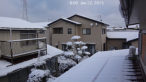 SnowingScene 150112-0800.jpg