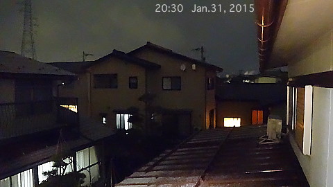 SnowingScene 150131-2030.jpg