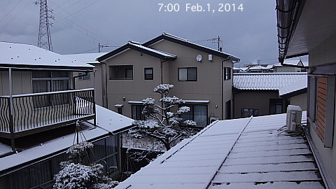 SnowingScene 150201-0700.jpg