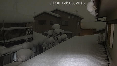 SnowingScene 150209-2130.jpg