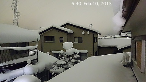 SnowingScene 150210-0540.jpg