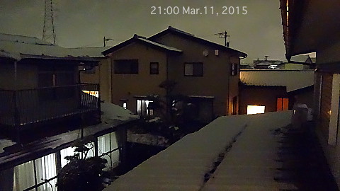 SnowingScene 150311-2100.jpg