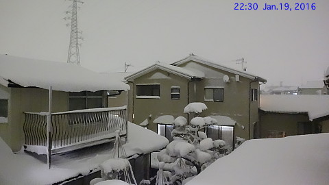 SnowingScene 160119-2230.jpg
