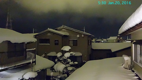 SnowingScene 160120-0530.jpg