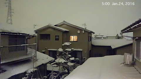 SnowingScene 160124-0500.jpg
