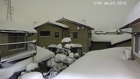 SnowingScene 160125-0540.jpg