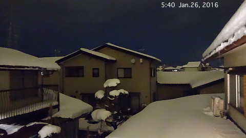 SnowingScene 160126-0540.jpg