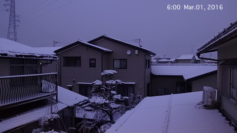 SnowingScene 160301-0600.jpg