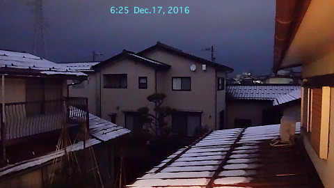 SnowingScene 161217-0625.jpg