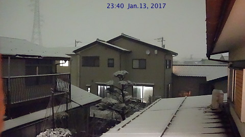 SnowingScene 170113-2340.jpg