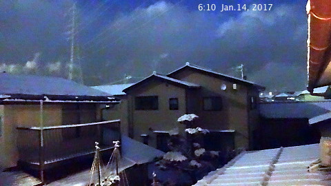 SnowingScene 170114-0640-1.jpg