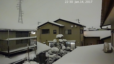 SnowingScene 170114-2230.jpg