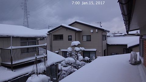 SnowingScene 170115-0700.jpg