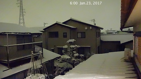 SnowingScene 170123-0600.jpg