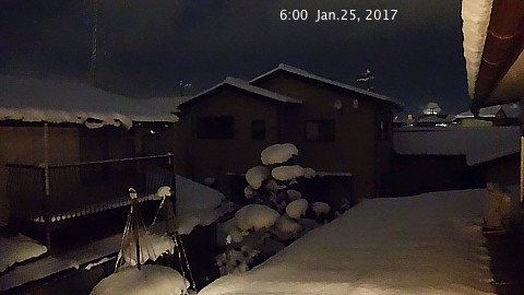 SnowingScene 170125-0600.jpg