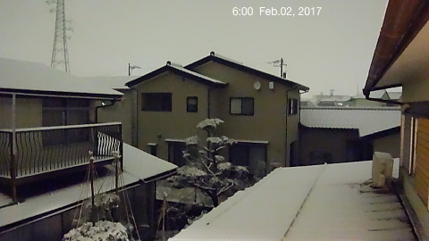 SnowingScene 170202-0600.jpg