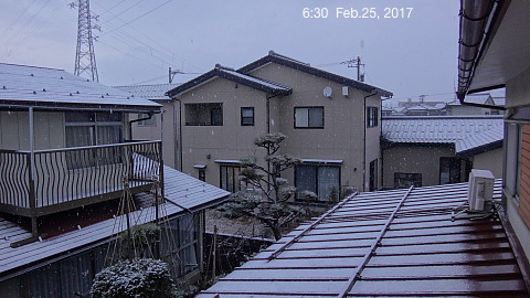 SnowingScene 170225-0630.jpg