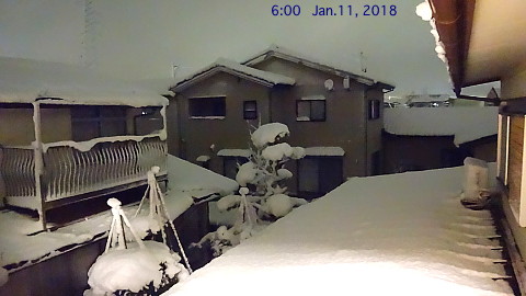 SnowingScene 180111-0600.jpg