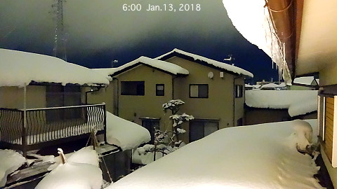 SnowingScene 180113-0600.jpg