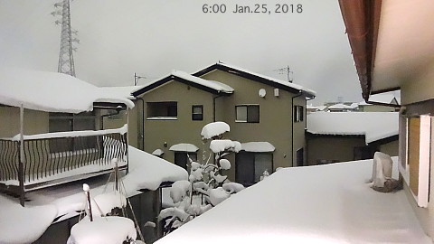 SnowingScene 180125-0600.jpg