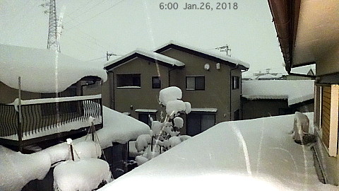 SnowingScene 180126-0600.jpg