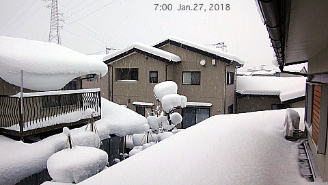 SnowingScene 180127-0600.jpg